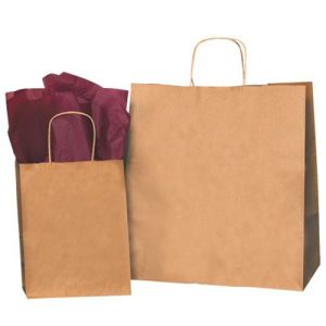 Partners Brand BGS101K Paper Bags, CS, BGS101K, 80